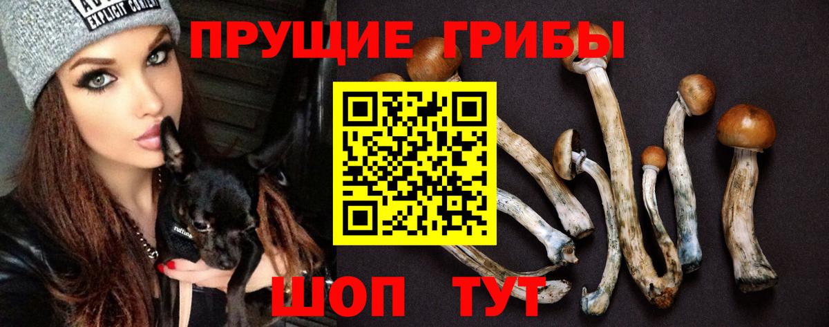 Галлюциногенные грибы мицелий Краснокамск